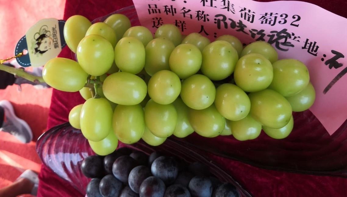 A Look at Shine Muscat, China's Hot New Table Grape Variety Produce